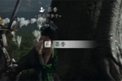 燕云十六声昙香聊天对话攻略分享