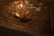 天国拯救2特罗斯基的恶魔任务攻略分享