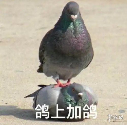 游戏攻略网2