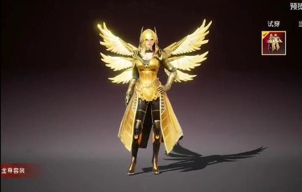 炽羽金尊美化包不封号